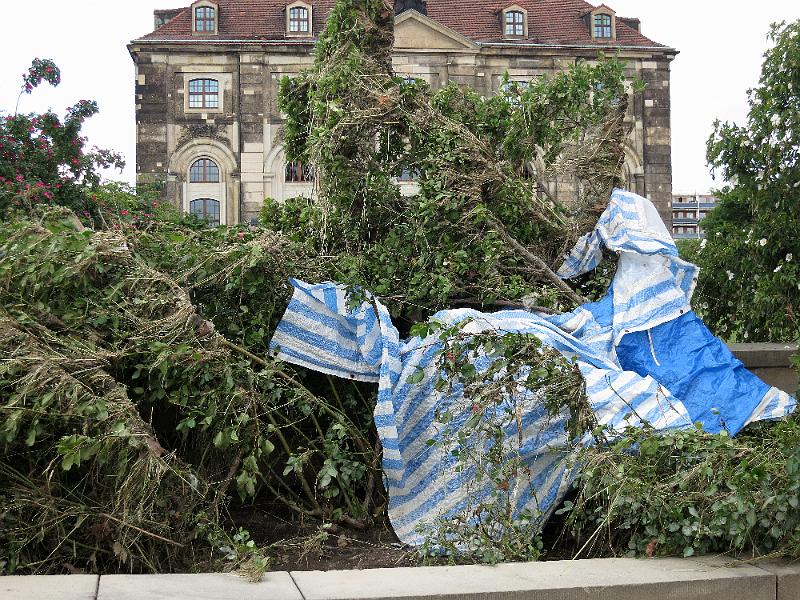 Hochwasser (321).JPG